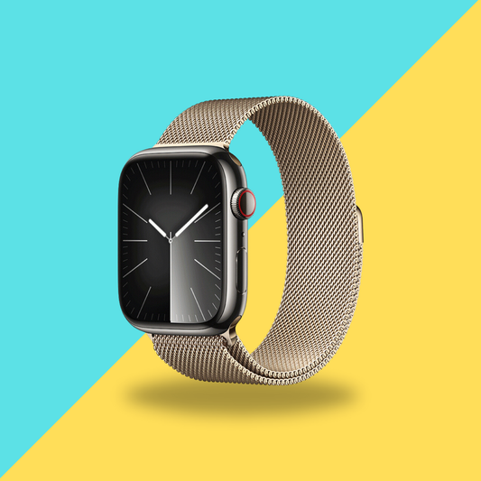 Apple Watch Series 9 45mm Stainless Steel Case with Milanese Loop